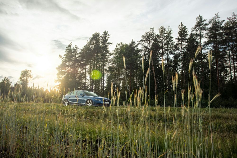 Elbilsalget skyter fart i hele Norden