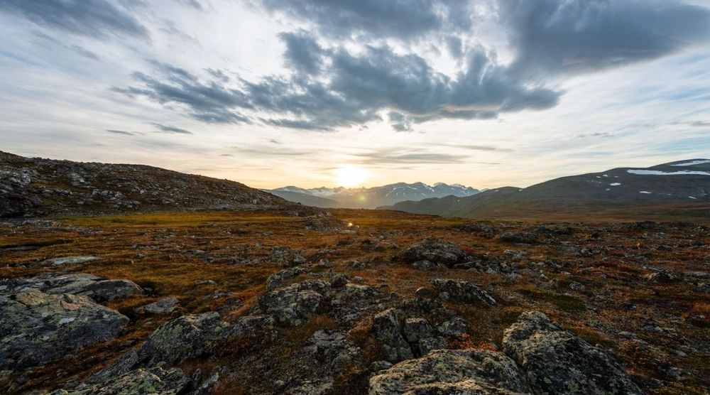 Kampanje med fri etablering frem til 20 okt - Kommune- og landsoversikt fra Gjeldsregisteret